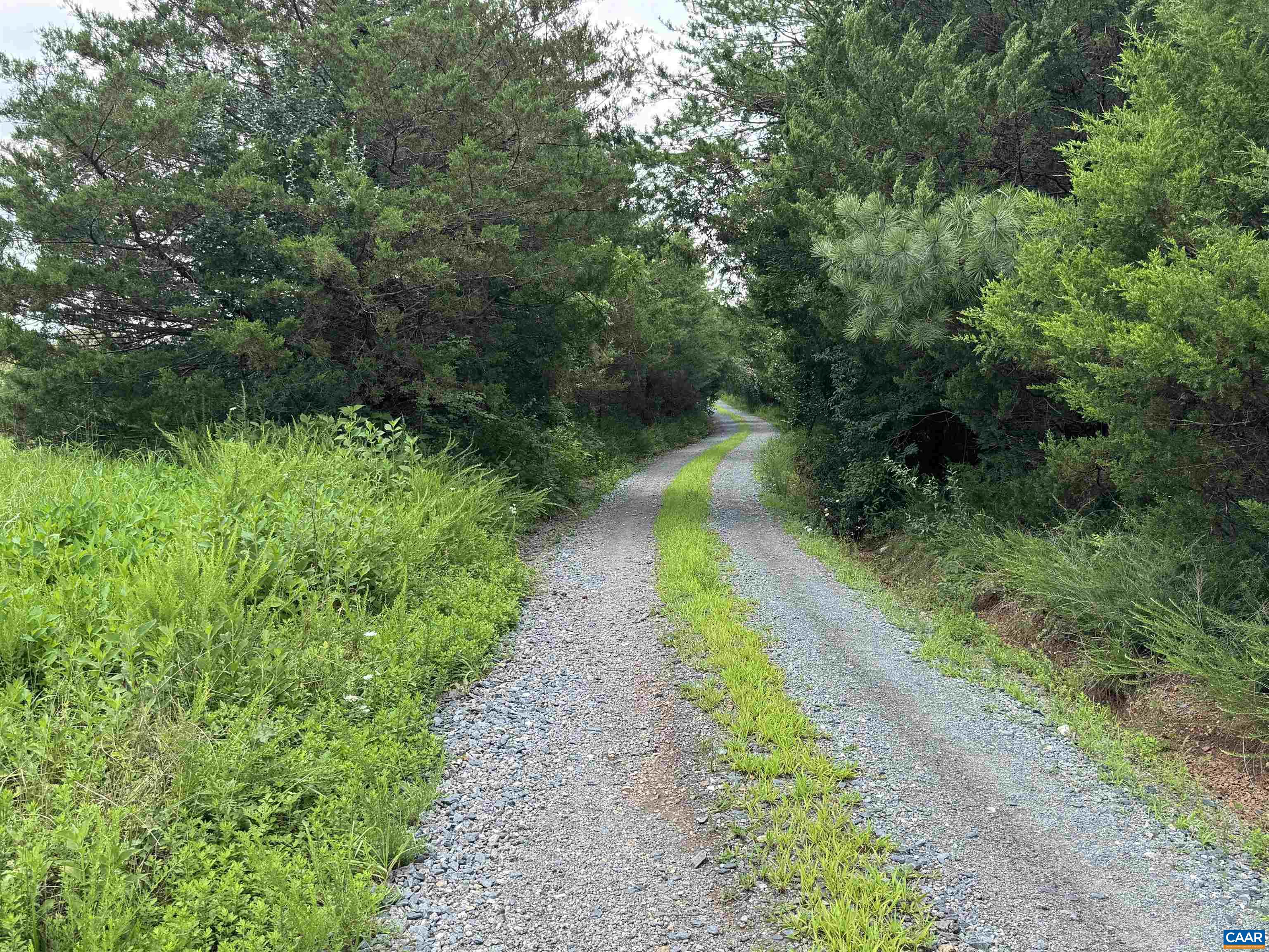 Tbd Fishpond Road Howardsville, VA 24562 - Photo 3 of 14