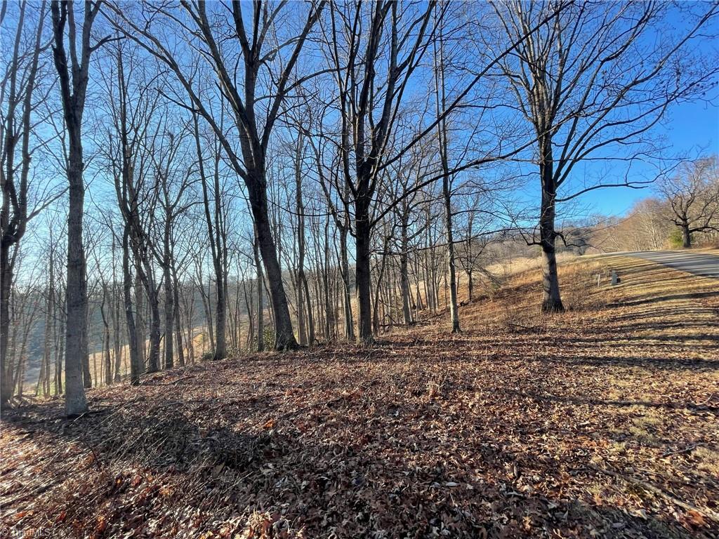 Tbd Tbd Prime Circle Road Piney Creek, NC 28663 - Photo 11 of 11