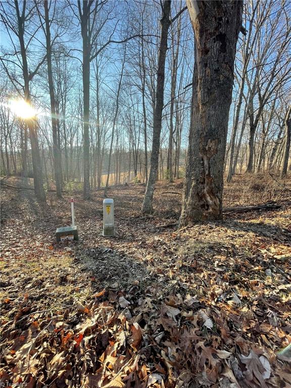Tbd Tbd Prime Circle Road Piney Creek, NC 28663 - Photo 2 of 11