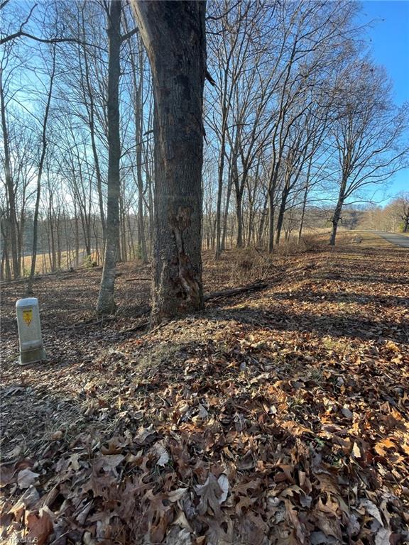 Tbd Tbd Prime Circle Road Piney Creek, NC 28663 - Photo 3 of 11