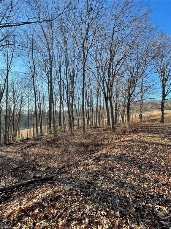 Tbd Tbd Prime Circle Road Piney Creek, NC 28663 - Photo 5 of 11