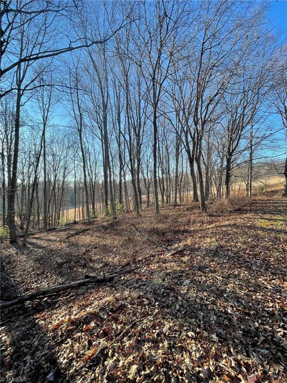 Tbd Tbd Prime Circle Road Piney Creek, NC 28663 - Photo 6 of 11