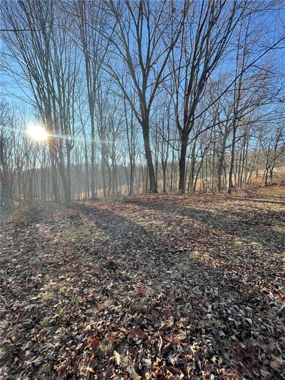 Tbd Tbd Prime Circle Road Piney Creek, NC 28663 - Photo 8 of 11