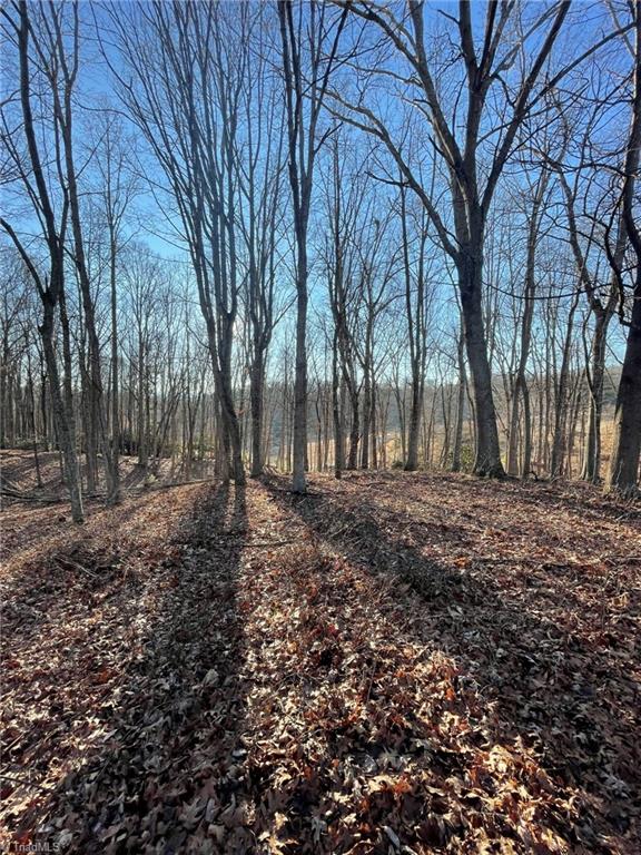 Tbd Tbd Prime Circle Road Piney Creek, NC 28663 - Photo 10 of 11
