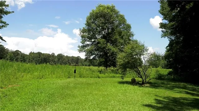 $1,195,000 | 9032 Selborne Lane, Chattahoochee Hills, GA 30268