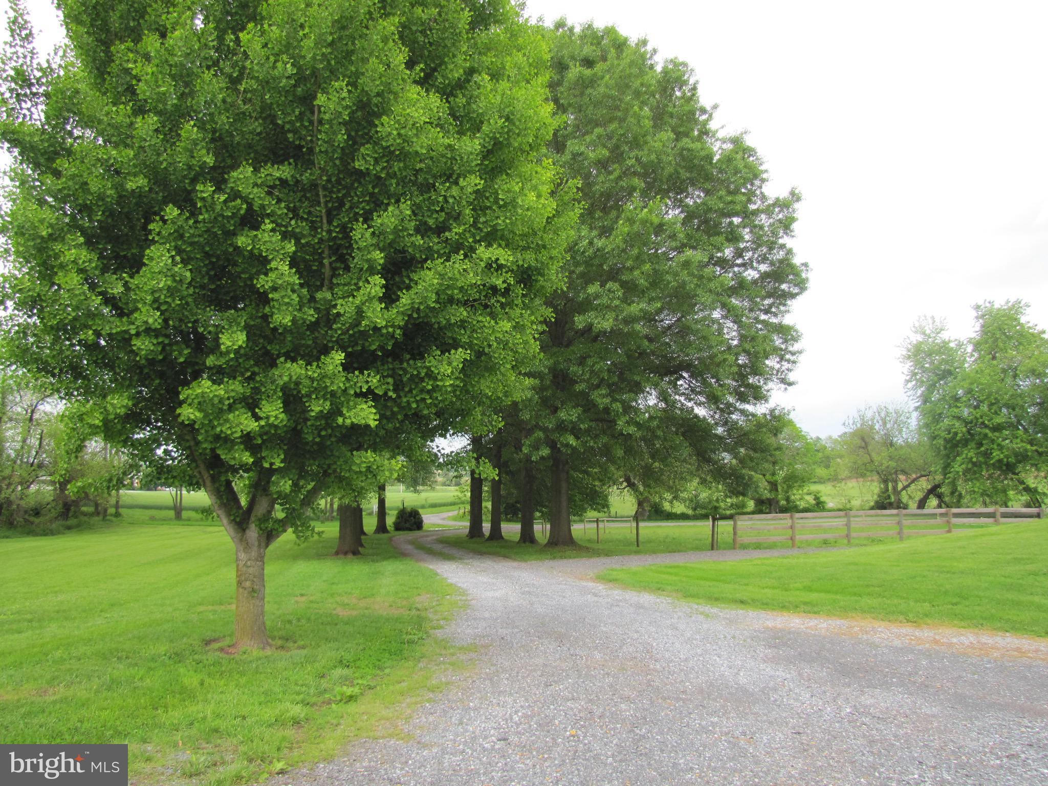 4998 Middleburg Road Taneytown, MD 21787 - Photo 5 of 70