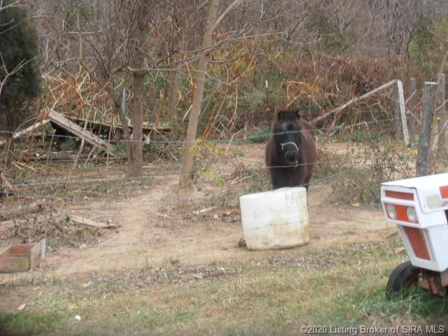 4485 East Kinderhook Road Scottsburg, IN 47170 - Photo 9 of 18