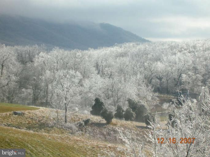 536 Poor House Road Front Royal, VA 22630 - Photo 4 of 30 Winter Ice Storm