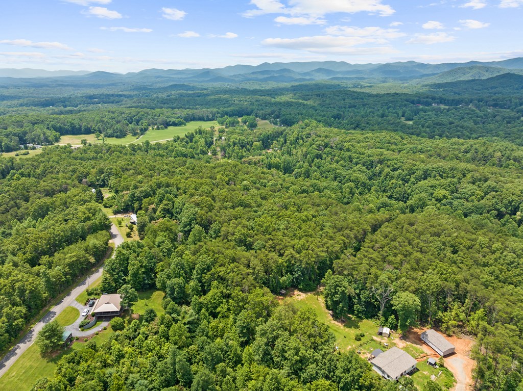 0 Crawford Road McCaysville, GA 30555 - Photo 14 of 21