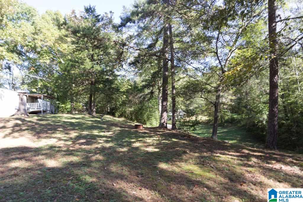 359 Jewell Road, Unit 1 73 Oxford, AL 36203 - Photo 39 of 46