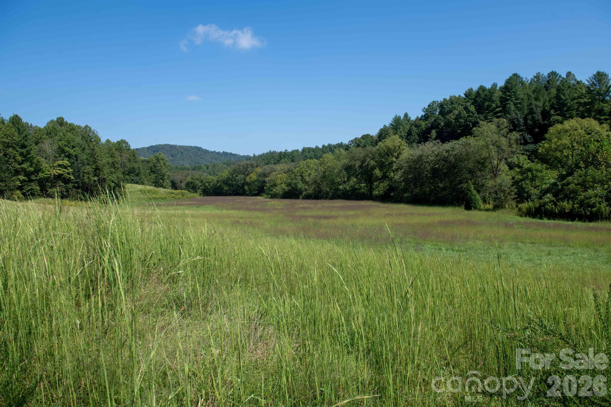 3305 Zacks Fork Road Lenoir, NC 28645 - Photo 26 of 48 Gallery Image 26
