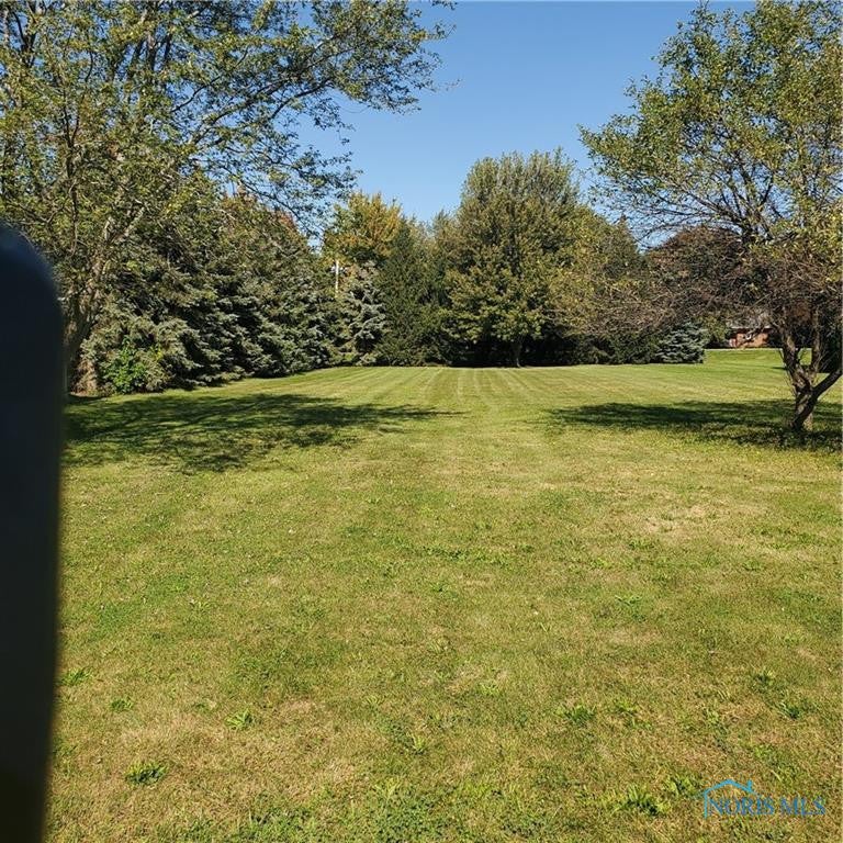 6256 Brown Road Oregon, OH 43616 - Photo 5 of 43 THE VIEW (WEST SIDE LOT)
