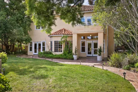a view of a yard with plants