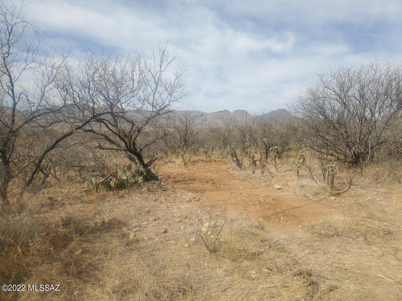 1806 Via Nueva Zelandia Rio Rico, AZ 85648 - Photo 10 of 17