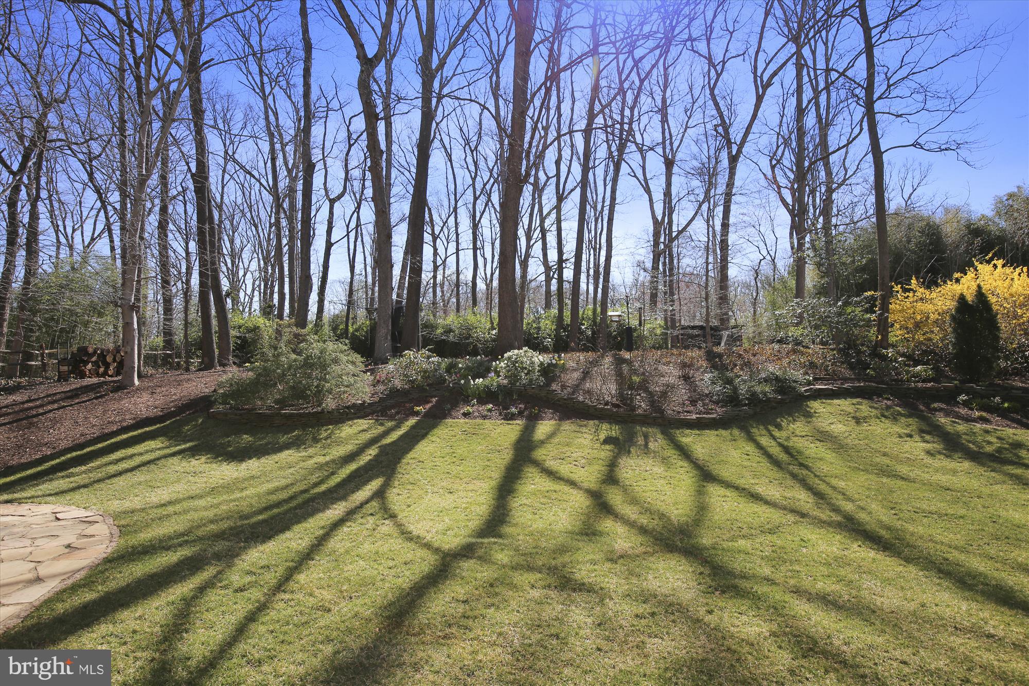 7107 Devonshire Road Alexandria, VA 22307 - Photo 2 of 42 Gorgeous private back yard
