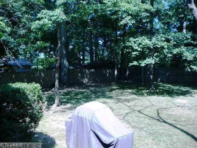 907 Oakview Road High Point, NC 27265 - Photo 13 of 14 Exterior Back. Standing on patio looking out.