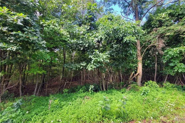 $20,000 | Whitetail Crossing Road, Tamaqua, PA 18252