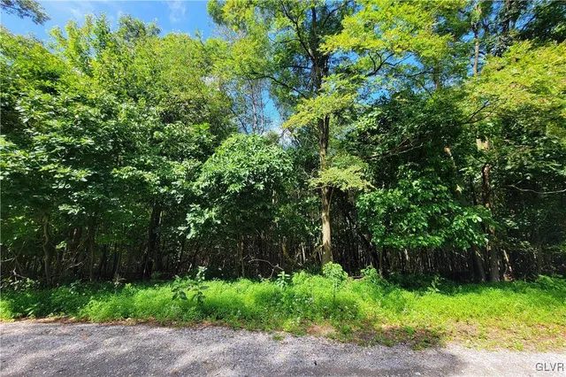 $20,000 | Whitetail Crossing Road, Tamaqua, PA 18252