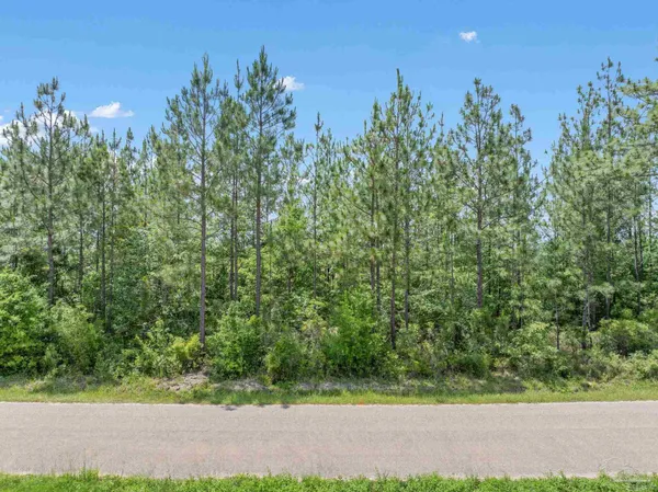 $59,000 | Lot 52 Mineral Springs Road, Jay, FL 32565