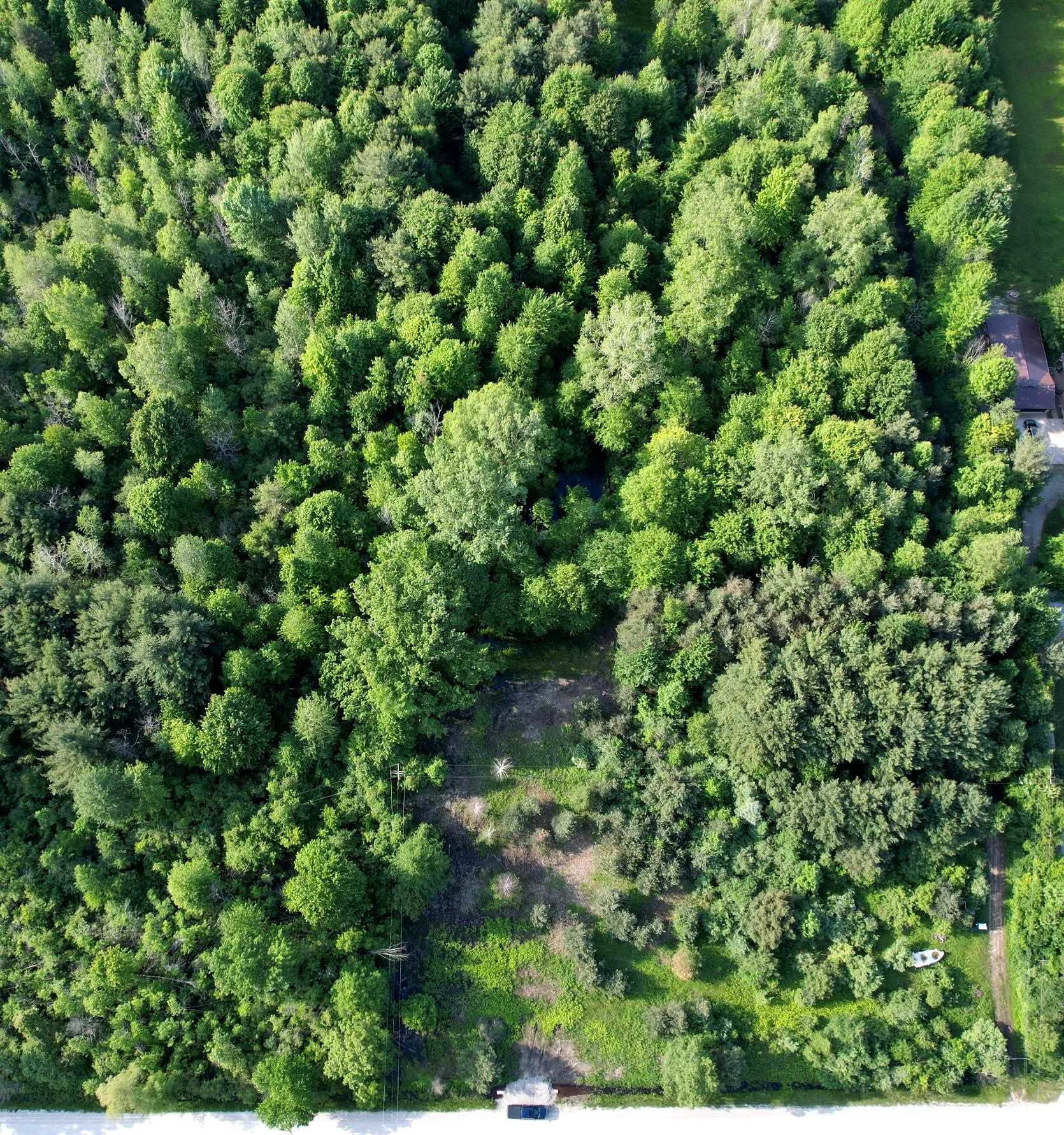 Puttygut Road Casco, MI 48064 - Photo 12 of 13 Gallery Image 12