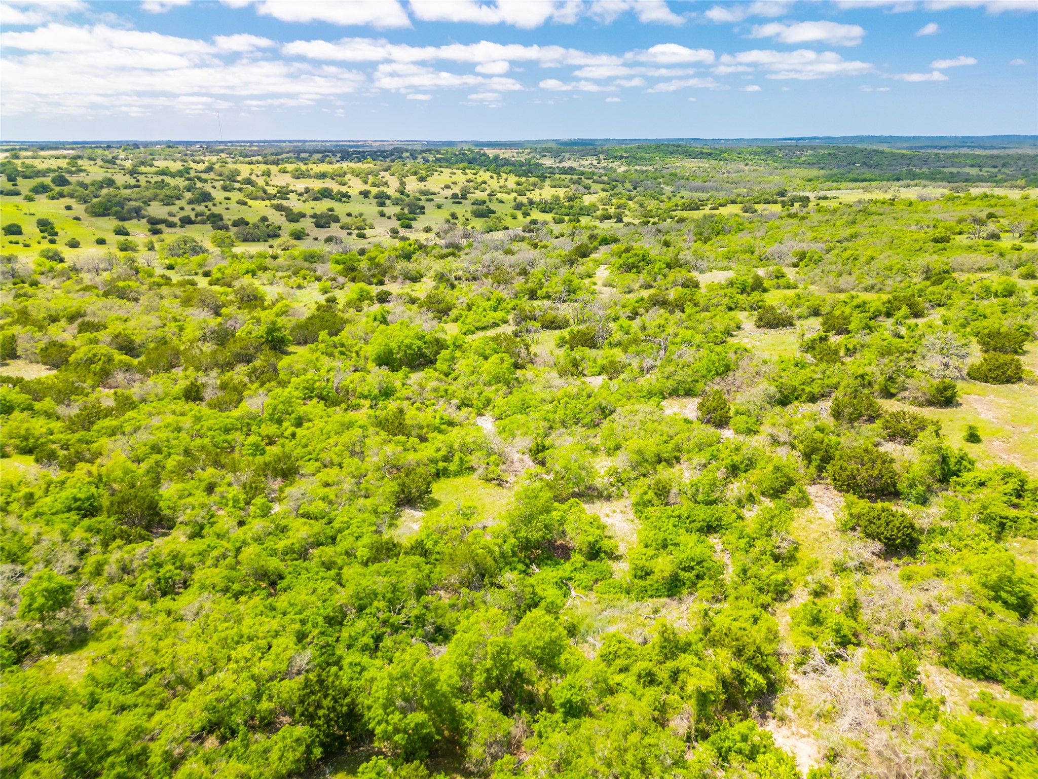 0 Jung Road Harper, TX 78631 - Photo 9 of 17 a view of a yard with a tree