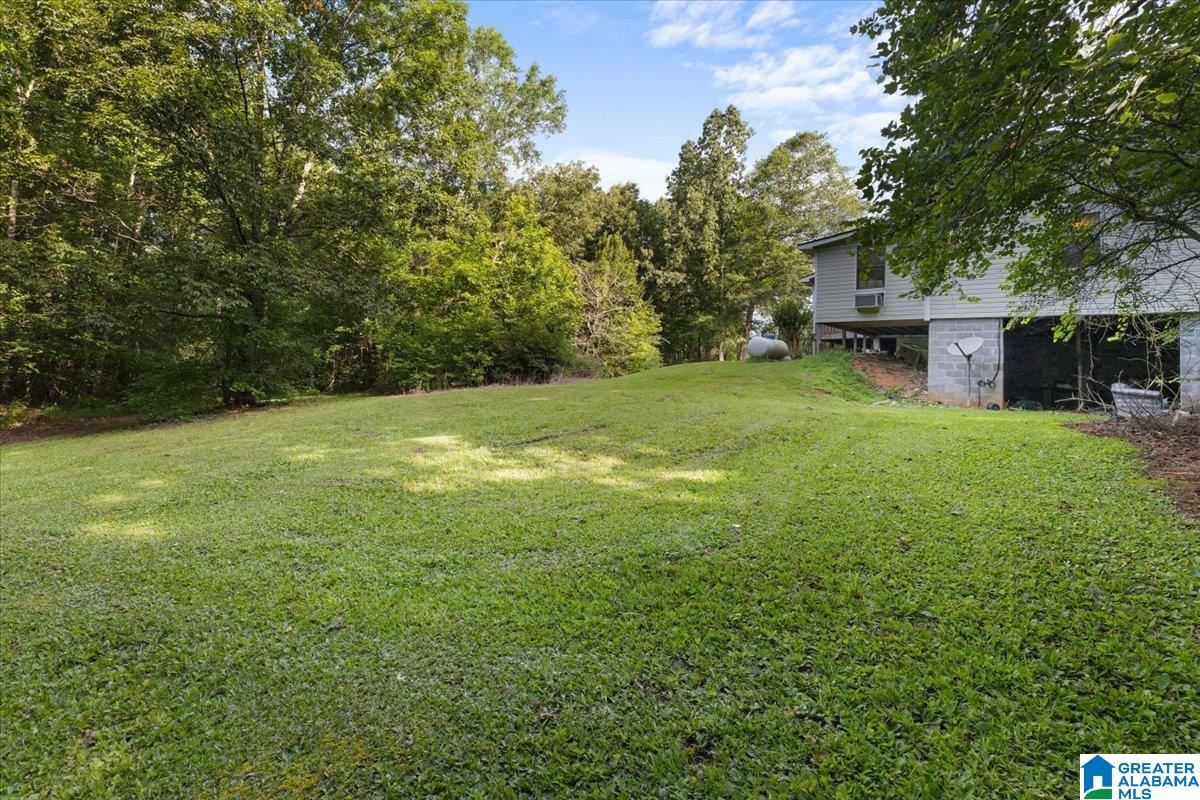 7950 Joy Road Blountsville, AL 35031 - Photo 28 of 35