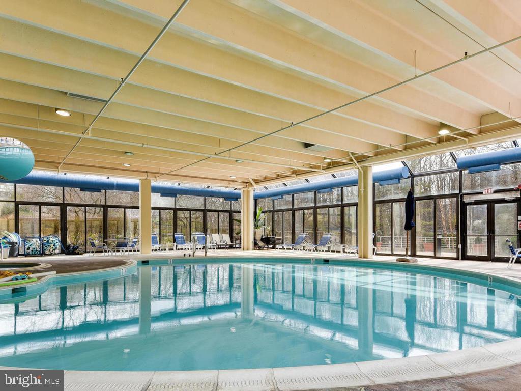 3306 Solomons Court, Unit 99A Silver Spring, MD 20906 - Photo 41 of 52 Indoor Pool