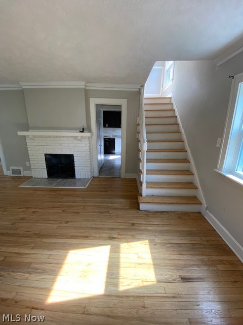 1231 Sylvania Road Cleveland, OH 44121 - Photo 6 of 35