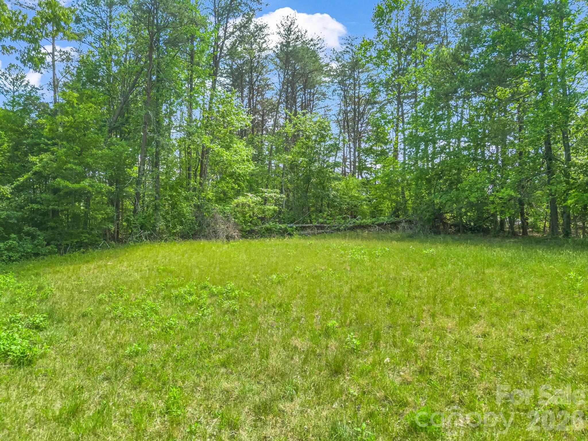 0 Smith Grove Road Forest City, NC 28043 - Photo 7 of 19