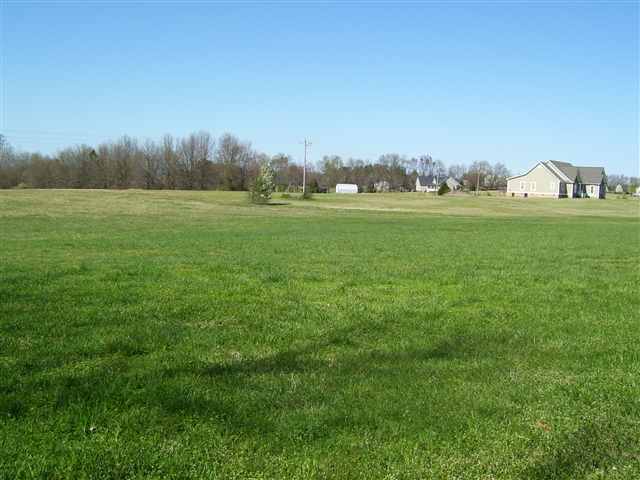 2065 Five Forks Road, Unit TRACT C Pendleton, SC 29670 - Photo 3 of 5