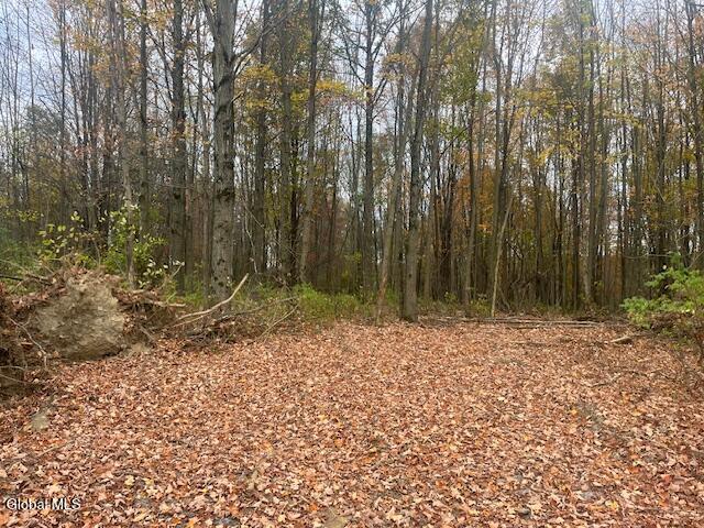 37.3 C Corbin Hill Road Sprakers, NY 12166 - Photo 2 of 5 cor 2