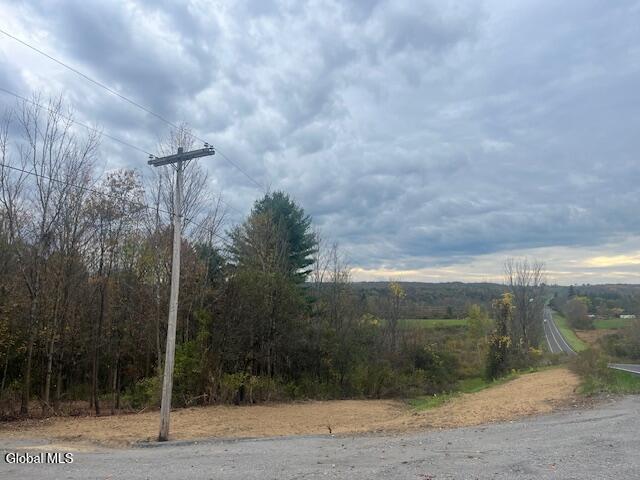 37.3 C Corbin Hill Road Sprakers, NY 12166 - Photo 3 of 5 cor 3