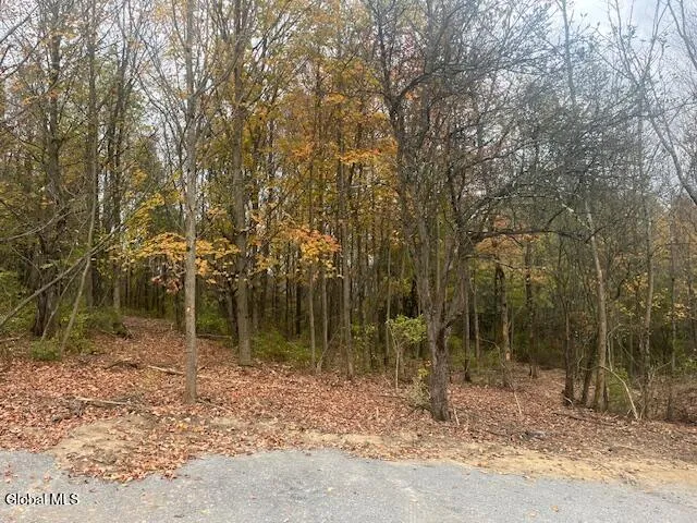 $42,500 | 37.3 C Corbin Hill Road, Sprakers, NY 12166