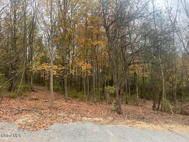 37.3 C Corbin Hill Road Sprakers, NY 12166 - Photo 4 of 5 cor 4