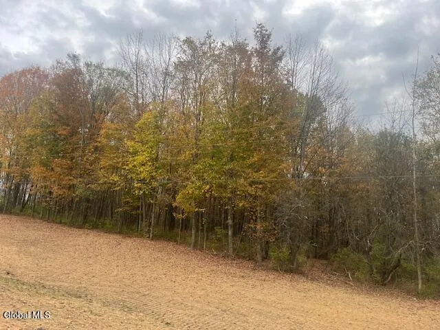 $42,500 | 37.3 C Corbin Hill Road, Sprakers, NY 12166