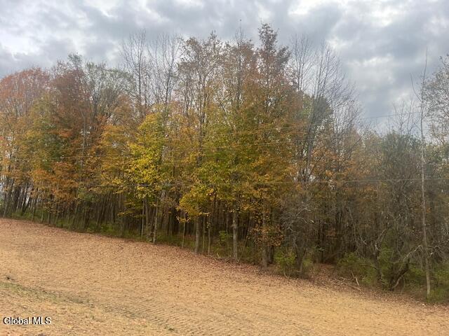 37.3 C Corbin Hill Road Sprakers, NY 12166 - Photo 5 of 5 cor 5