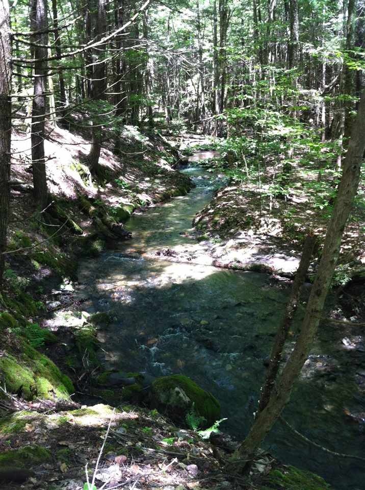28 Parkman Wood Road Putney, VT 05346 - Photo 29 of 35 Gallery Image 29