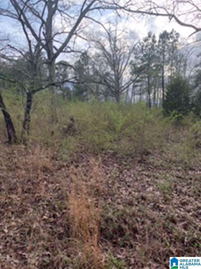 0 Truss Ferry Road, Unit 1 Lincoln, AL 35096 - Photo 2 of 11