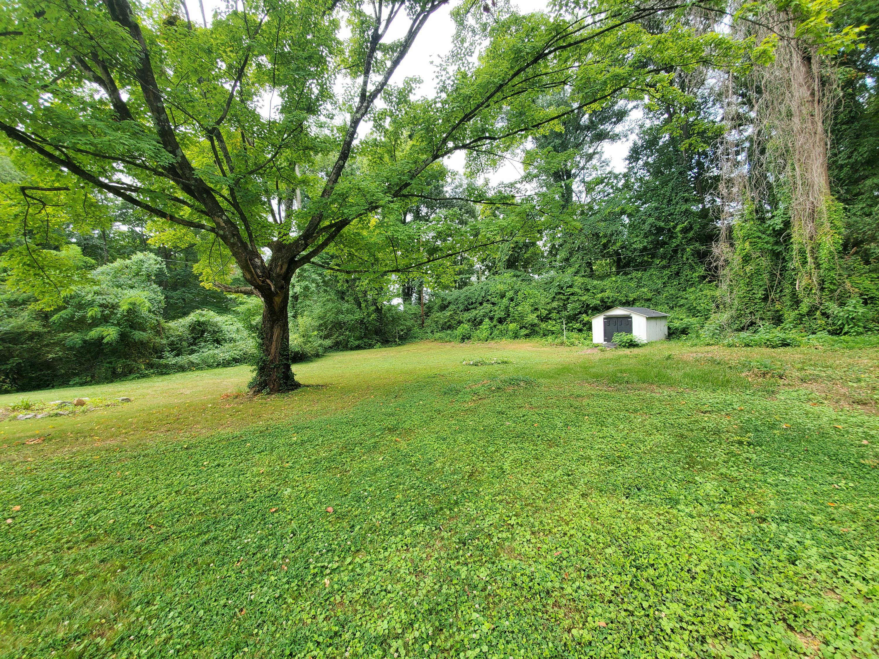 315 Grata Road Knoxville, TN 37914 - Photo 22 of 31 20200722_115746