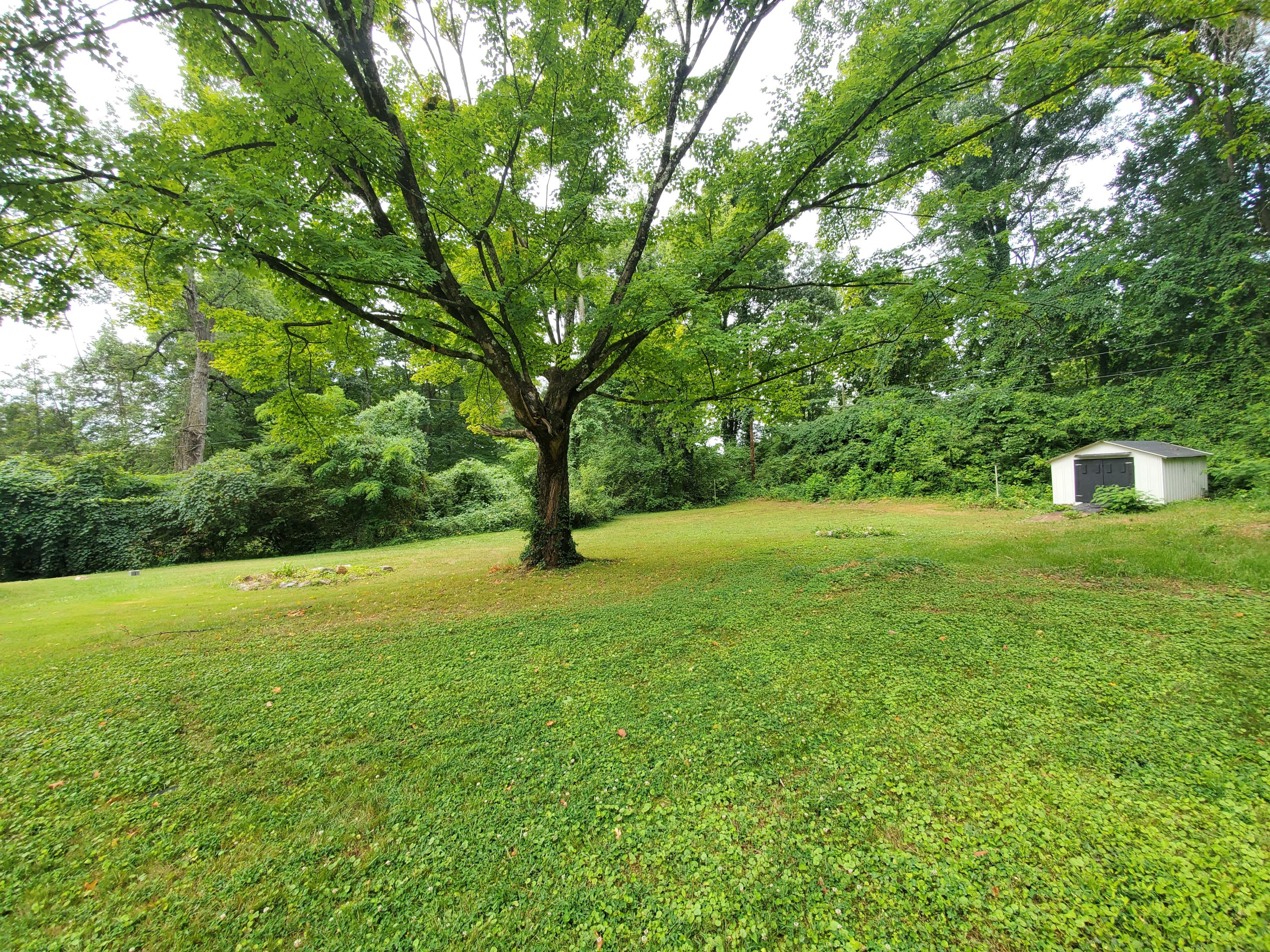 315 Grata Road Knoxville, TN 37914 - Photo 4 of 31 20200722_115744
