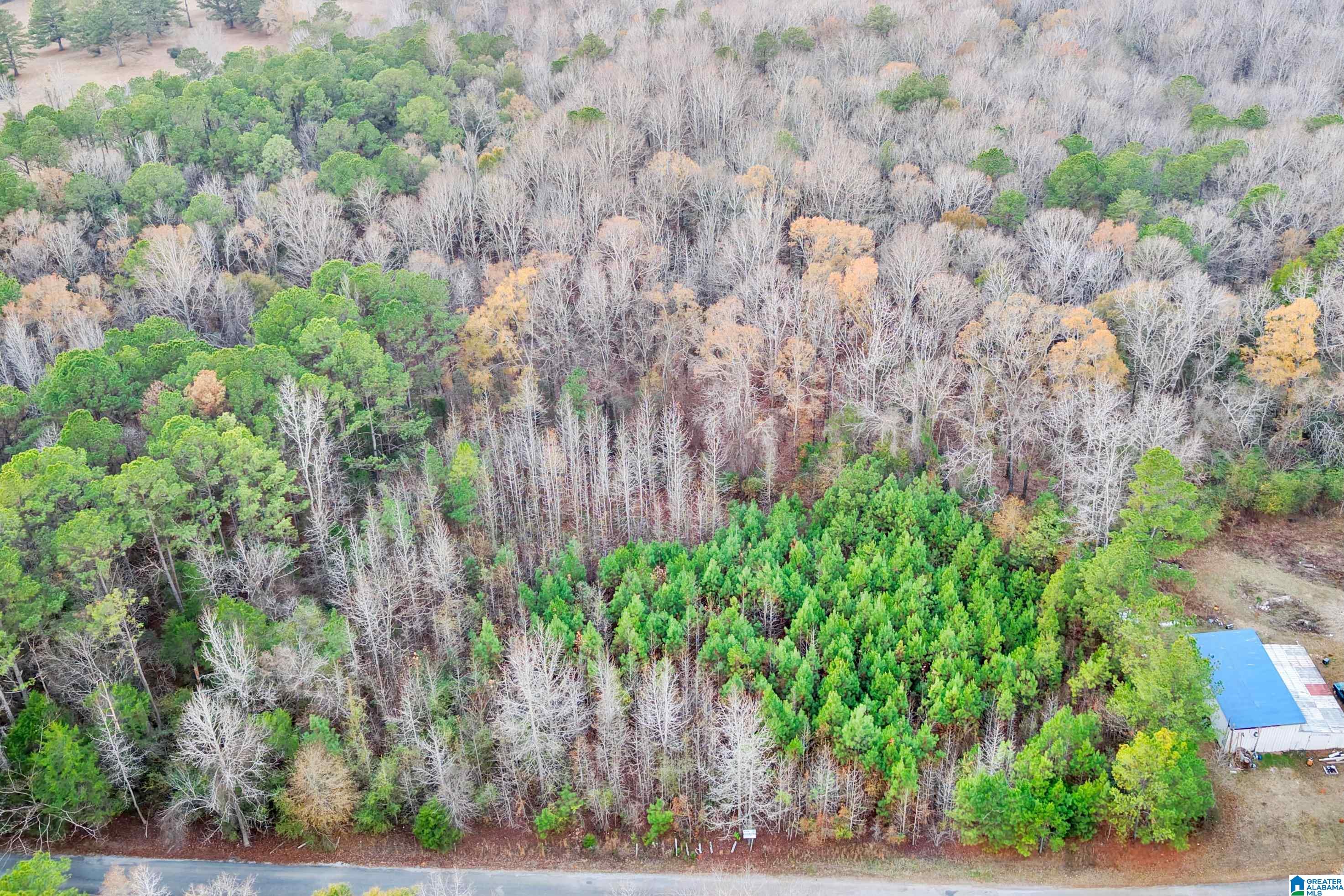 1830 Pine Tree Road Centreville, AL 35042 - Photo 6 of 11