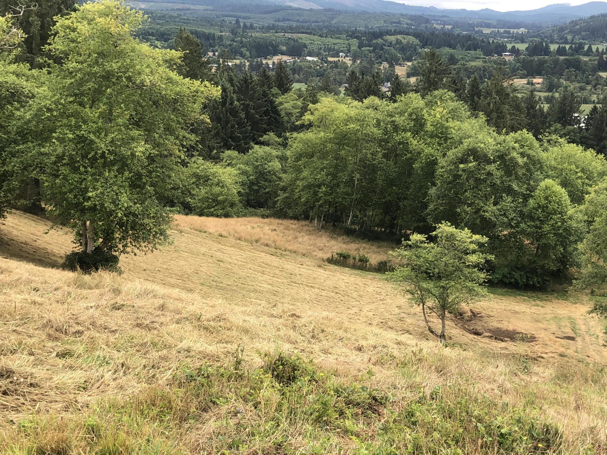 Lot 30 Skyview Road Tillamook, OR 97141 - Photo 11 of 15 IMG_9053