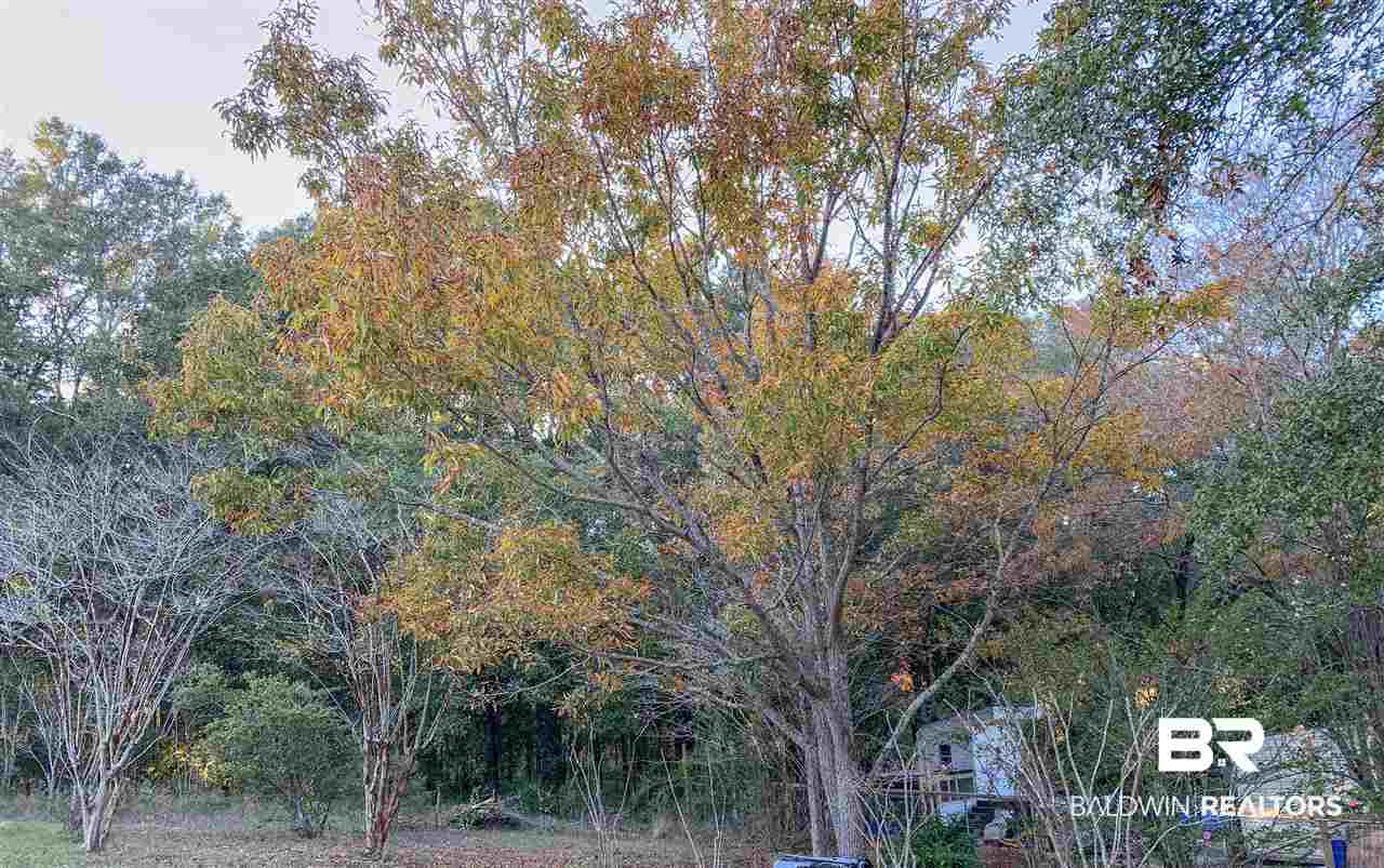 12427 Pleasant View Lane Foley, AL 36535 - Photo 5 of 25