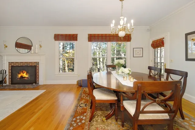 a view of a dining room with furniture a potted plant and wooden floor