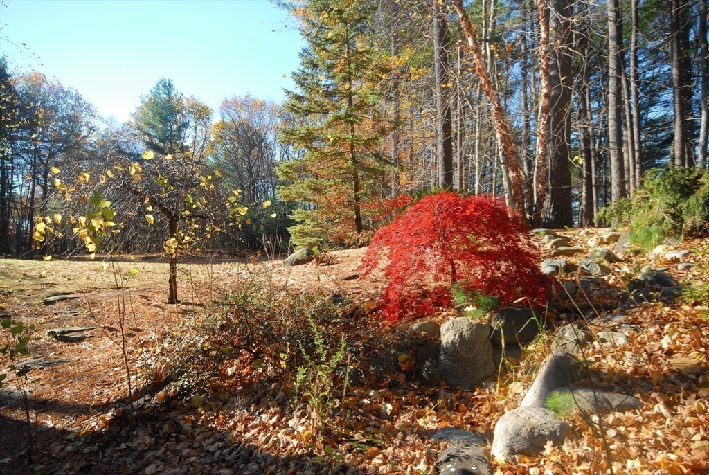 96 Forest Ridge Road, Unit 96 Concord, MA 01742 - Photo 32 of 36 a view of a yard covered with trees