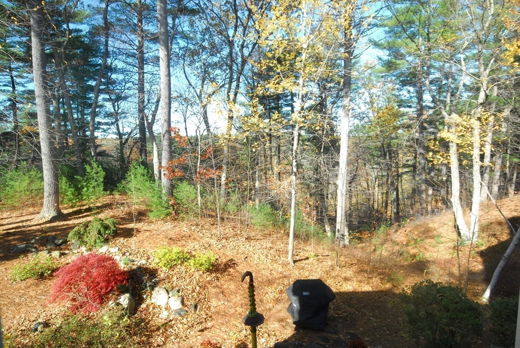 96 Forest Ridge Road, Unit 96 Concord, MA 01742 - Photo 33 of 36 a backyard of a house with table and chairs