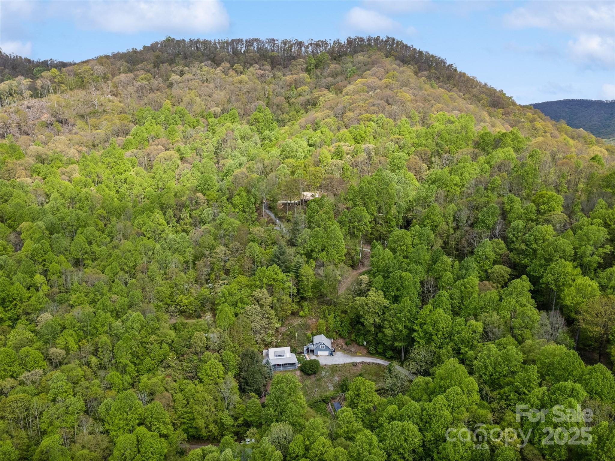 195 Three Springs Drive Sylva, NC 28779 - Photo 11 of 48 a view of a mountain