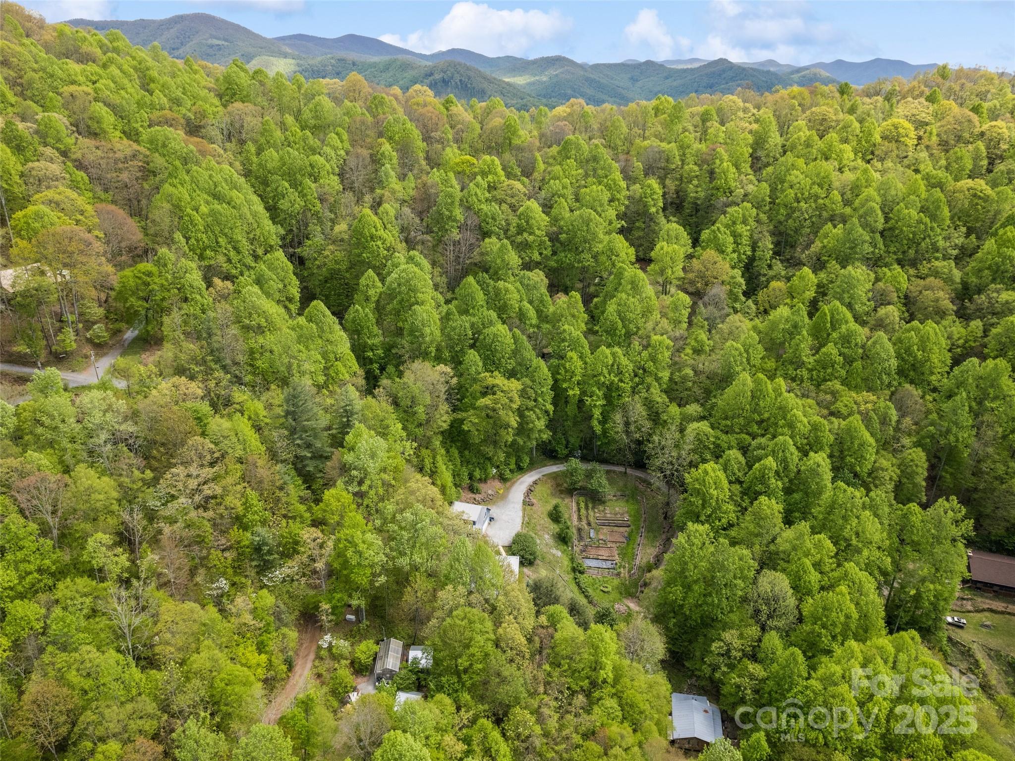 195 Three Springs Drive Sylva, NC 28779 - Photo 12 of 48 a aerial view of a houses with a lush green forest