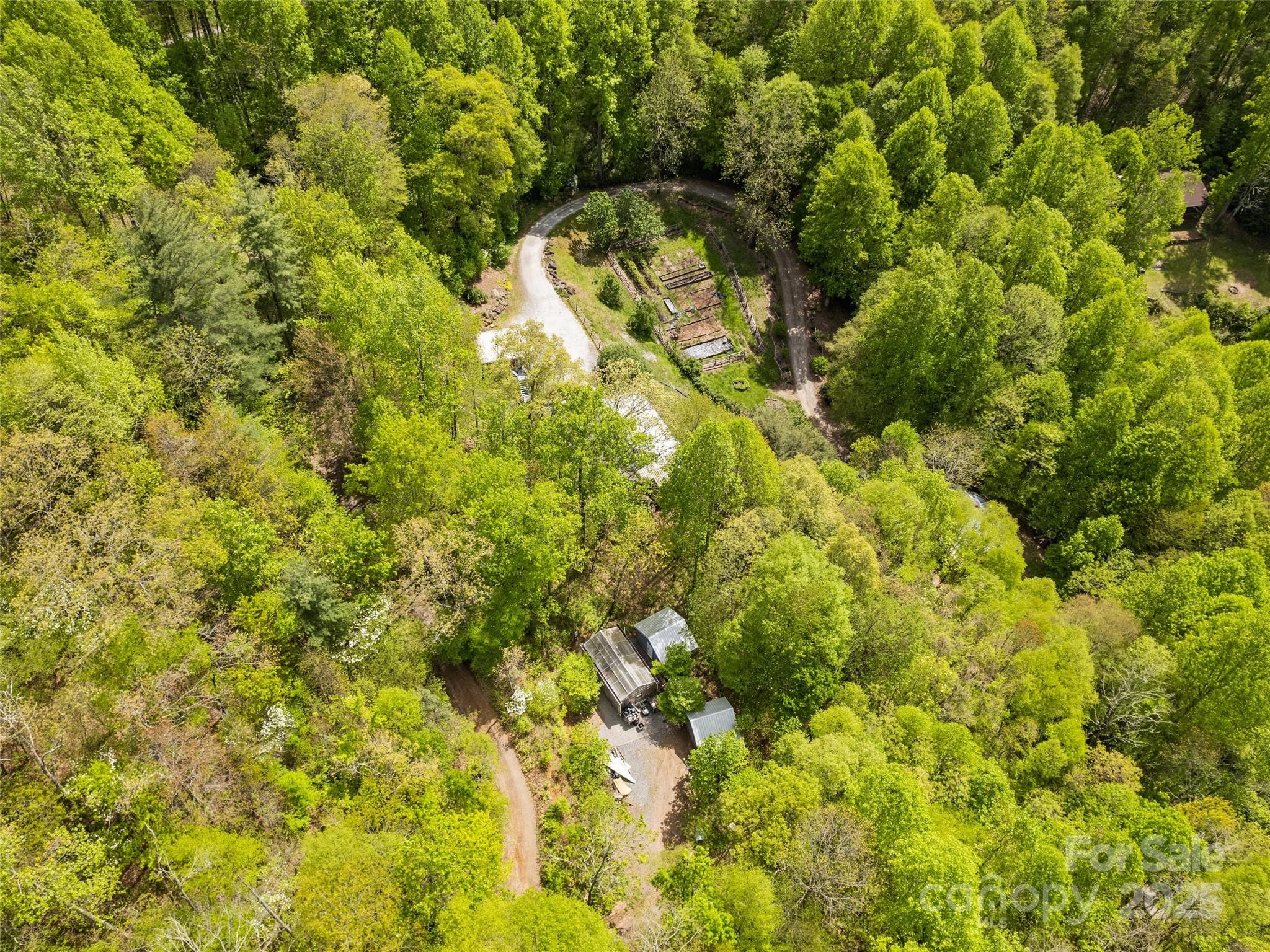195 Three Springs Drive Sylva, NC 28779 - Photo 13 of 48 a view of a yard with a tree