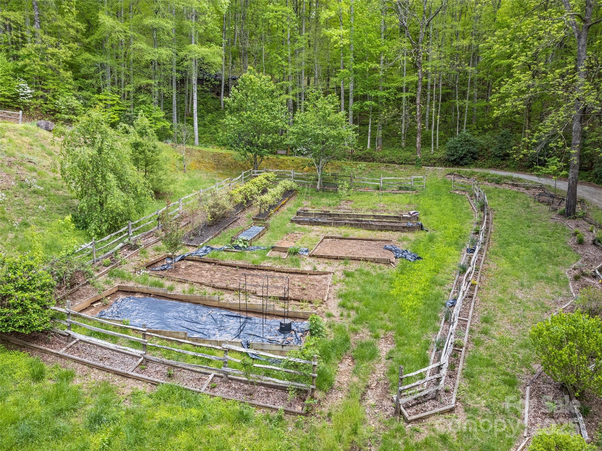 195 Three Springs Drive Sylva, NC 28779 - Photo 14 of 48 a view of a backyard with wooden fence
